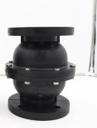 Non Return Valve Black Hover